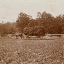 Omc1985.008.062 Image 600dpi